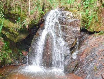 Stio para Venda, em Campos do Jordo, bairro Parque Pedra do Ba