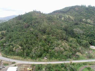 Terreno para Venda, em Imaru, bairro Fazenda So Paulo