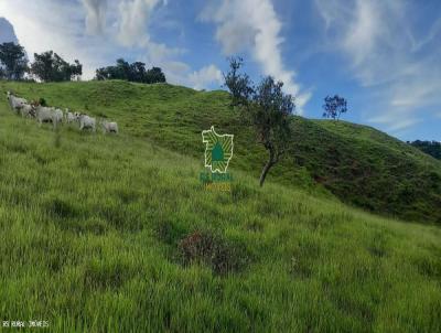 Stio para Venda, em , bairro 20km de Liberdade e 22Km de Carvalhos