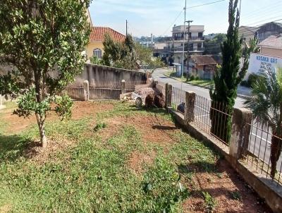 Terreno para Venda, em Araucria, bairro Iguau