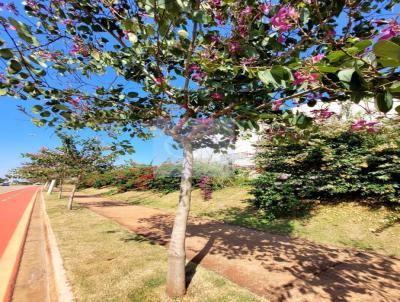 Terreno para Venda, em Boituva, bairro Portal Ville Jardins