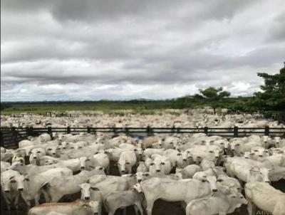 Fazenda para Venda, em So Jos dos Campos, bairro Centro