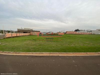 Terreno para Venda, em Santo Antnio da Platina, bairro Residencial Maria Tereza Renn