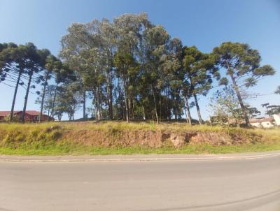 Terreno para Venda, em Contenda, bairro Jardim Carlito Rudek