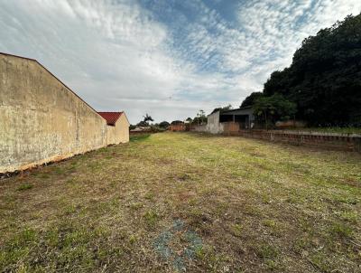 Terreno para Venda, em Astorga, bairro VL. IVO MENDES