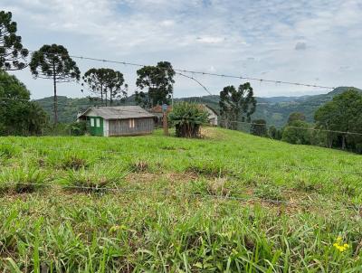 Terreno Rural para Venda, em Celso Ramos, bairro bairro Aparecida