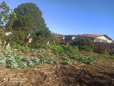 Lote para Venda, em Prudentpolis, bairro CENTRO