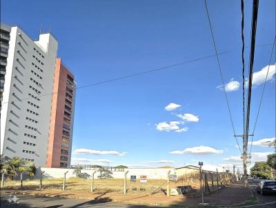 Terreno para Venda, em Barretos, bairro Ibirapuera