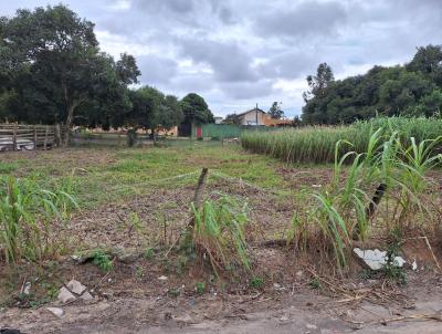 Terreno para Venda, em Florianpolis, bairro So Joo do Rio Vermelho