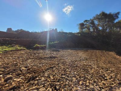 Terreno para Venda, em , bairro Loteamento Pinheiros