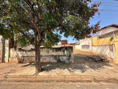 Terreno para Venda, em Lins, bairro So Benedito