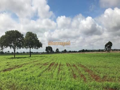 Fazenda para Venda, em Alta Floresta, bairro Zona rural