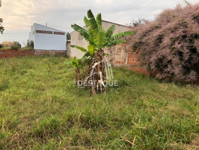 Terreno para Venda, em Regente Feij, bairro Jardim Primavera