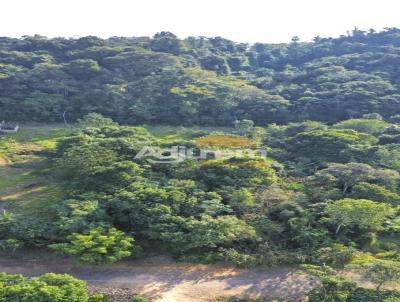 Terreno para Venda, em Igrejinha, bairro Figueira