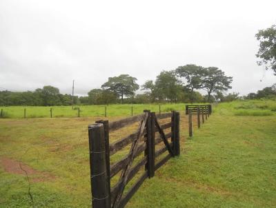 Fazenda para Venda, em Pium, bairro MUNICIPIO DE PIUM