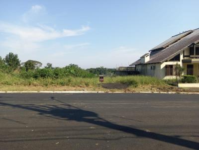 Terreno para Venda, em Sapiranga, bairro Centenrio