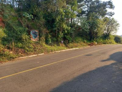 Terreno para Venda, em Sapiranga, bairro Centenrio