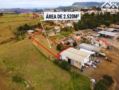 Lote para Venda, em Siqueira Campos, bairro Naes