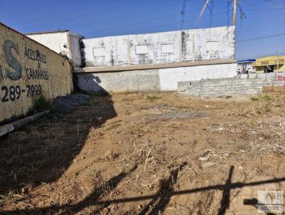 Lote para Venda, em Aparecida de Goinia, bairro Cardoso Continuao