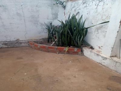imagem-miniatura