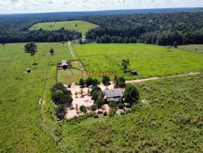 Fazenda para Venda, em Alta Floresta, bairro Zona rural