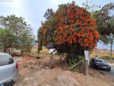 Lote para Venda, em Pouso Alegre, bairro Inconfidentes