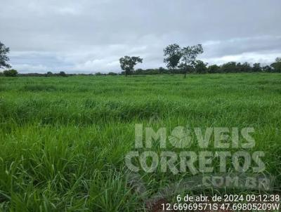 Fazenda para Venda, em Paran, bairro -