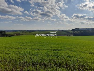 Fazenda para Venda, em Piracicaba, bairro Centro, 2 dormitrios, 2 banheiros