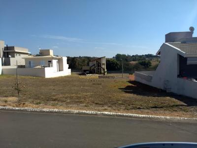 imagem-miniatura