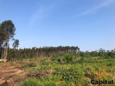 rea Rural para Venda, em Araruna, bairro ZONA RURAL - ARARUNA