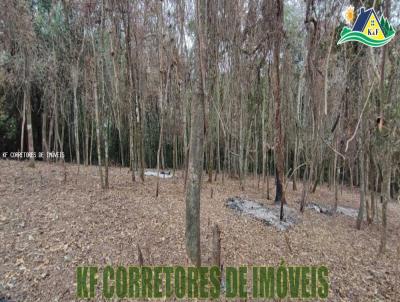 Terreno para Venda, em Ibina, bairro Centro