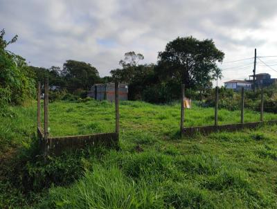 Terreno para Venda, em Perube, bairro Josedy