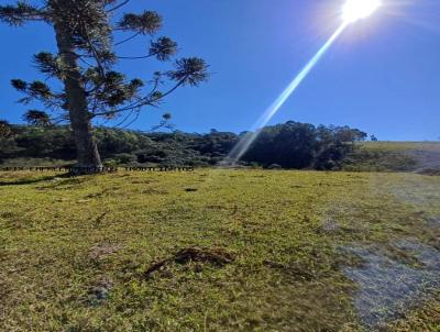 Terreno para Venda, em Camanducaia, bairro Pericos