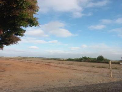 Terreno para Venda, em Canas, bairro Caninhas