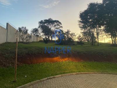 Terreno para Venda, em Santa Cruz do Sul, bairro Country
