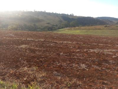 rea Rural para Venda, em Muzambinho, bairro Estrada