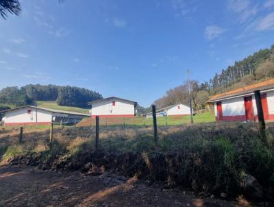 Terreno Rural para Venda, em Fraiburgo, bairro Linha Brasilia