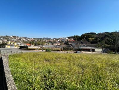 Terreno para Venda, em Bragana Paulista, bairro Jardim Amrica