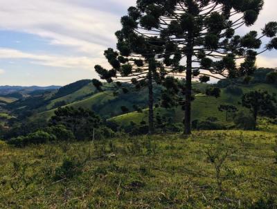 Stio para Venda, em Cunha, bairro 