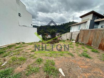 Lote para Venda, em Timteo, bairro Alto Serenata