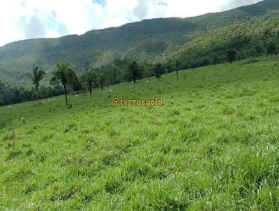 Fazenda para Venda, em Nova Brasilndia, bairro Zona rural