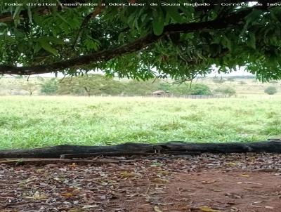 Fazenda para Venda, em Cassilndia, bairro Zona Rural