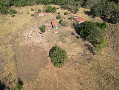 Stio para Venda, em Santo Antnio da Alegria, bairro Zona Rural