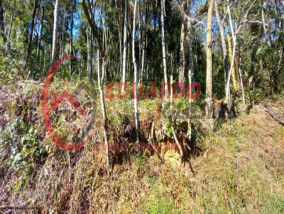 Terreno para Venda, em Mairipor, bairro Mato Dentro