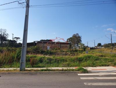 Lote para Venda, em Irati, bairro Engenheiro Gutierrez