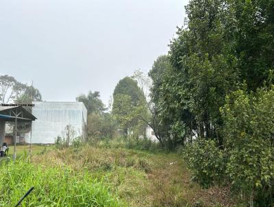 Terreno para Venda, em Guaratuba, bairro Balnerio Nereidas