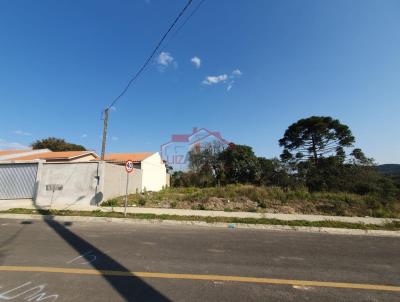 Lote para Venda, em Irati, bairro Engenheiro Gutierrez