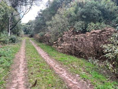 Terreno para Venda, em , bairro Alpes