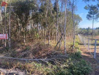 Chcara para Venda, em Tijucas do Sul, bairro Campo Alto