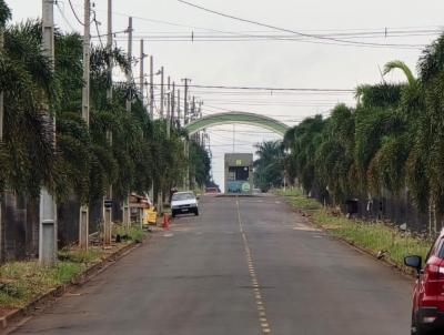 Terreno para Venda, em Iguarau, bairro Bom Jardim